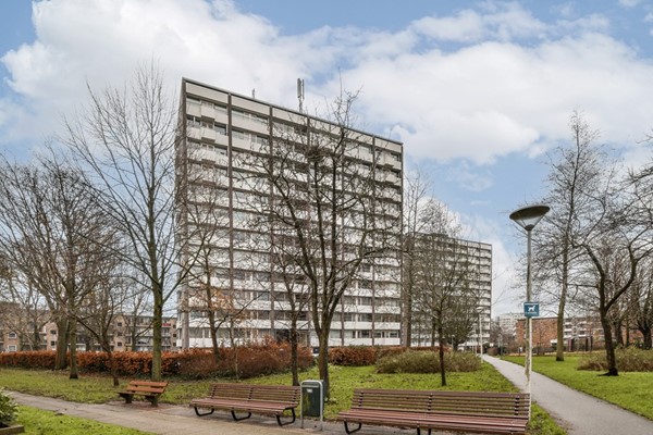 Roggekamp 335, Den Haag